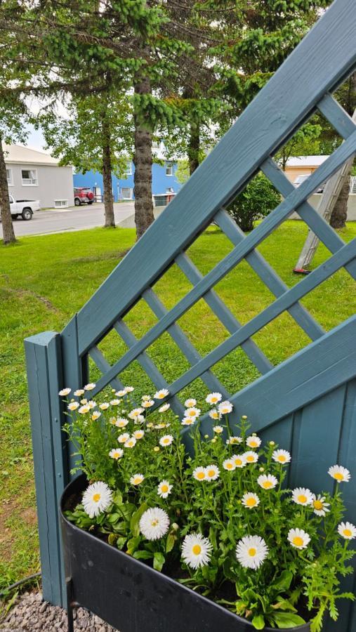 B&B Rooms Husavik 3 Exterior photo
